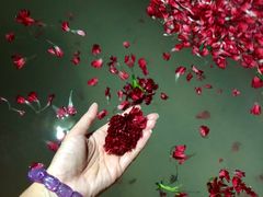 -天目湖涵田半山温泉