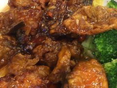 红烧三文鱼骨-海晖酒楼·顺德鱼生(荣华店)