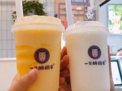 -一只酸奶牛(汕头金平万达广场店)