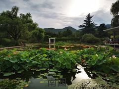 -国家植物园南园