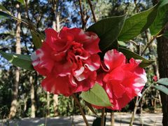 -昆明市金殿名胜区