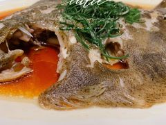 多宝鱼-广东道至正餐厅(区庄店)
