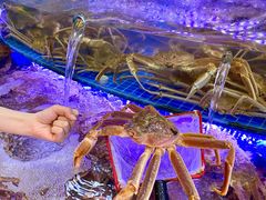 -驻海渔市(置信店)