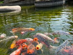 -七彩云南古滇温泉山庄