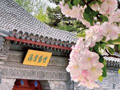 -元大都城垣遗址公园