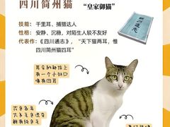 -Bastet sally猫舍购宠(静安店)