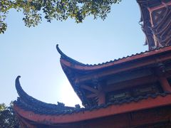 -塔子山公园