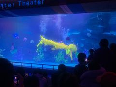 -泉城欧乐堡海洋极地世界