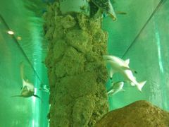 -东莞常平逸豪国际大酒店