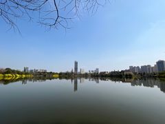 -成都南湖公园