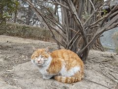 -迎泽公园