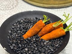 -丁老爷子苏香圆