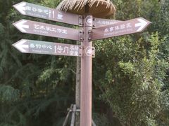 -上海长兴岛郊野公园