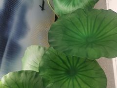 -新辣道鱼火锅(上地华联店)