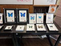 -三联韬奋书店(三里屯店)