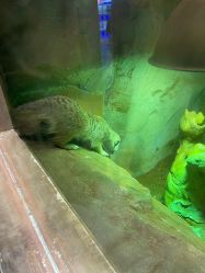 点击看大图 -宝燕乐园(闵行旗舰店)