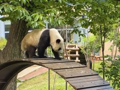 -西安秦岭野生动物园