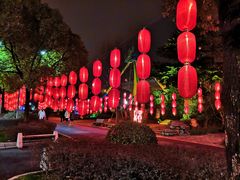 -锦江乐园舞狸花花游园会(夜场专享)