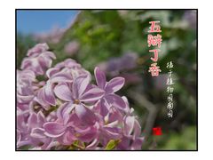 -国家植物园