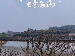 -东莞植物园