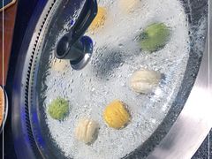 -挂雪铁锅炖大鹅