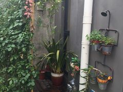 -小草屋轰趴馆别墅派对新场团建家庭聚会