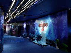 -SFC上影影城(港汇永华IMAX激光店)