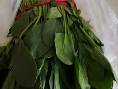 -金宝生活市场(东五环店)