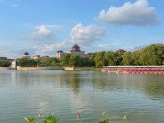 -莲花池公园