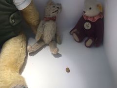 -成都泰迪熊博物馆