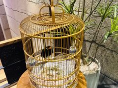 -小城粥道·海胆鲜虾粥(解放广场店)
