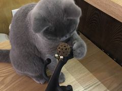 -壹人壹像工作室(购物公园店)