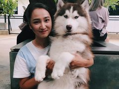 -TrueLove @ Neverland (Husky Cafe)