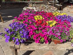 -瓦库茶馆17号(海汇港店)