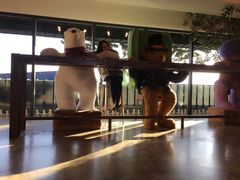 -济州岛泰迪熊博物馆