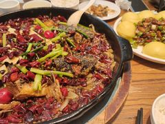 -老板恋上鱼(印象城店)