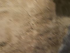 -江湖六膳門串串香(隆礼路店)