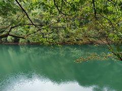 -鼎湖山风景区