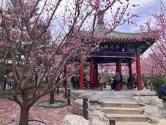 -德胜公园