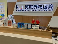 -派联宠物医院·24h·CT·异宠