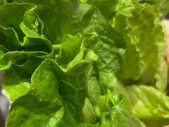 -老员外骨汤火锅(海州古城店)