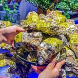 帝王蟹、黄金海胆、波龙……预计下一家自助餐顶流