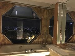 -新加坡丽思卡尔顿美年酒店