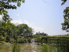 -中国科学院西双版纳热带植物园