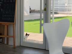 -海岛日记(养马岛店)