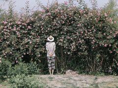 -鹅湖玫瑰文化园