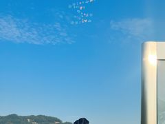 -长沙黑麋峰国家森林公园