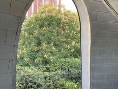 -上海新发展亚太JW万豪酒店