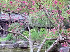 -范蠡湖公园