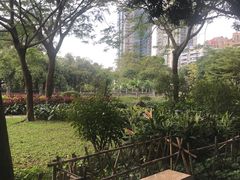 -晓港公园